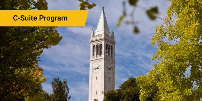 Leadership Course by Berkeley Executive Education - 